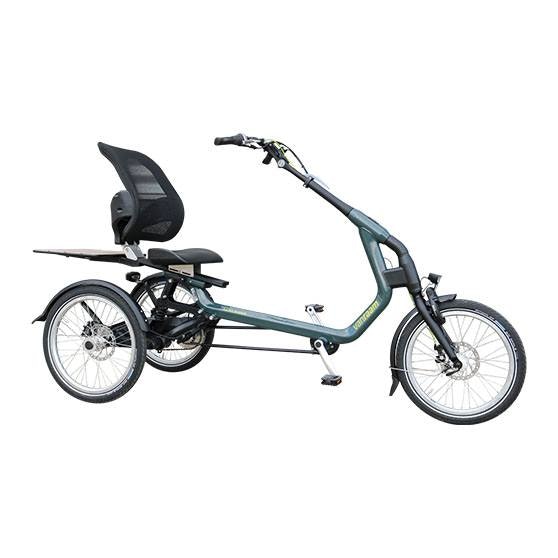 Easy Rider tricycle Van Raam freestanding