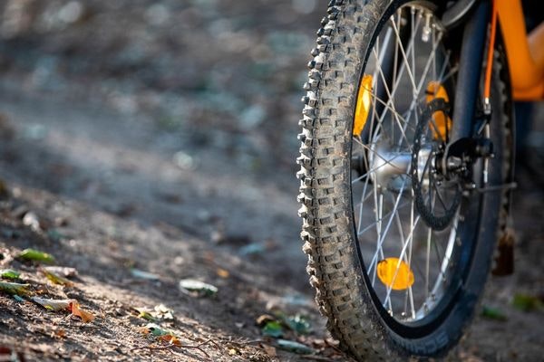 Afbeelding van de noppenbanden gemonteerd op een Van Raam Easy Rider driewielfiets.