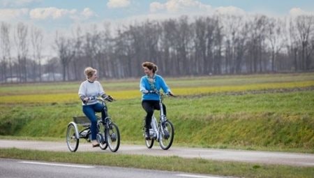 8 Tipps um mit Van Raam Fahrrädern so sparsam wie möglich zu fahren - berücksichtigen Sie das Wetter