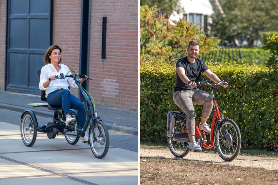 Low trike sales bike