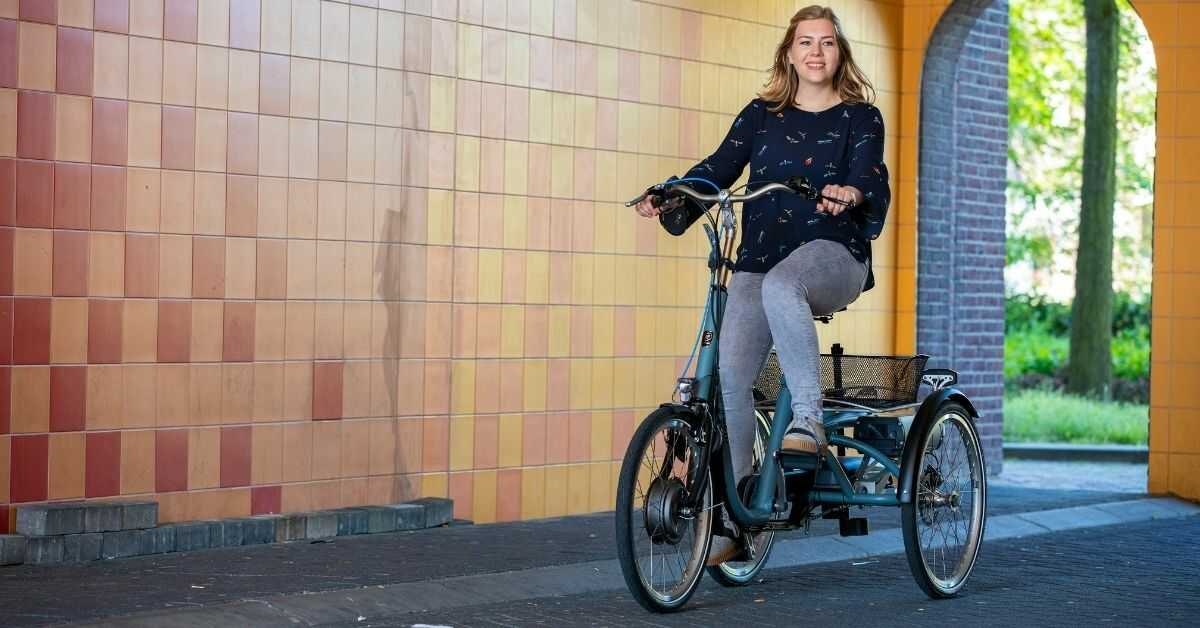 Unique riding characteristics of the Van Raam Maxi tricycle