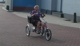 tricycle for adults easy rider_1