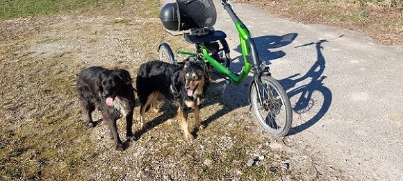 kundenerfahrung van raam easy rider dreirad konig gottfried