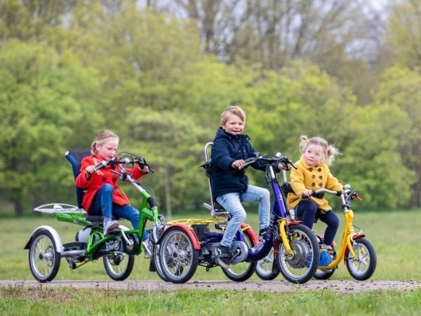 van raam therapy tricycle for children