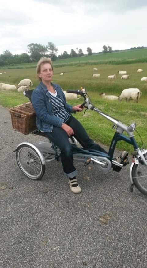 With the Easy Rider past the sheep