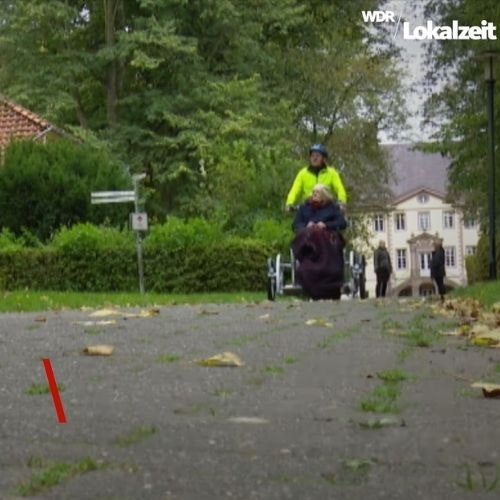 VeloPlus wheelchair bike customer experience Margret Bussen