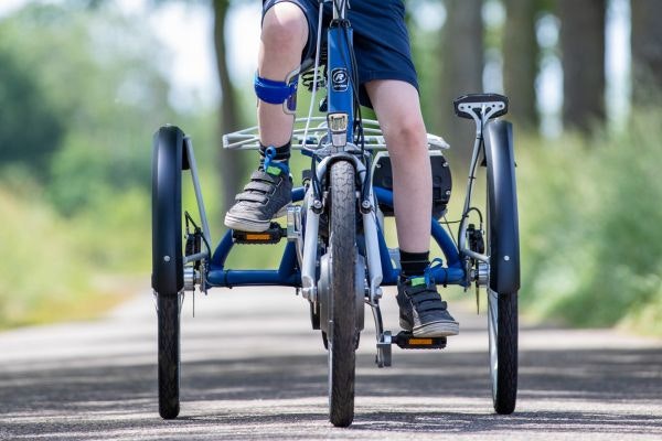 Réducteur d'engrenage Midi tricycle Van Raam