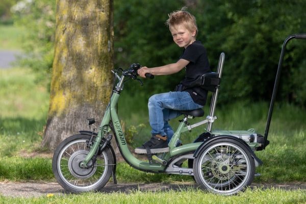 Van Raam Mini child tricycle option with backrest support