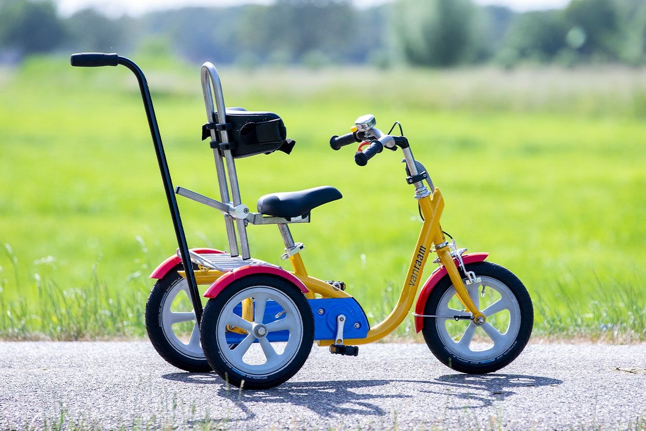 Van Raam Husky tricycle pour enfants avec dossier et barre de poussée