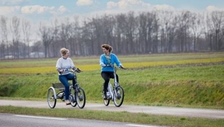 8 conseils pour être économe avec votre e-bike Van Raam - Tenez compte de la météo