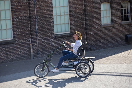 Adaptive tricycle for a large or older child Van Raam