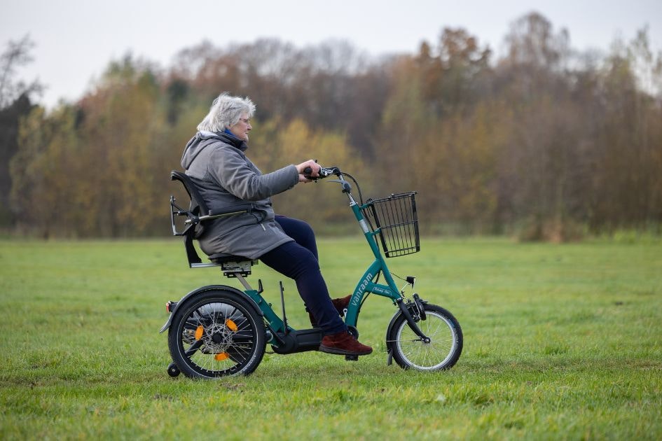 Van Raam dreirad Easy Go elektromobil dreirad für Erwachsene oder grosse Kinder