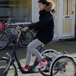Expérience utilisateur tricycle pour les adultes Maxi - Dominique van Steijn