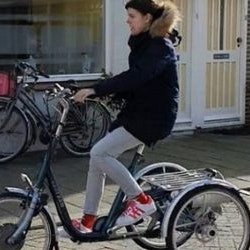 Benutzererfahrung Dreirad Maxi - Dominique van Steijn Benutzererfahrung Dreirad Maxi - Dominique van Steijn