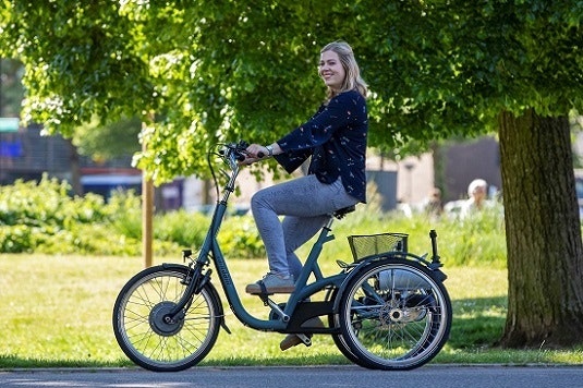 Maxi tricycle for adults Van Raam