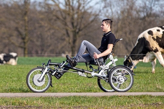 Easy Sport recumbent tricycle for adults Van Raam