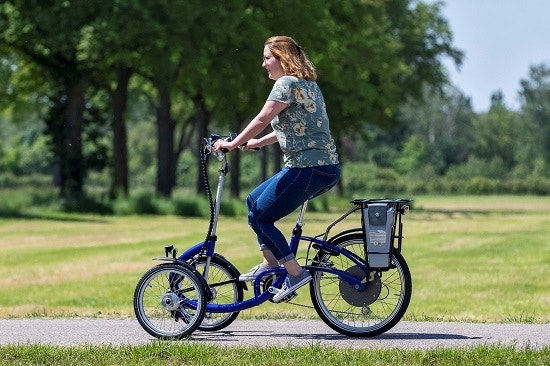 Viktoria tricycle with two wheels in the front for adults Van Raam