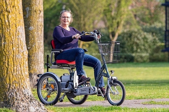 Easy Go Elektromobil Dreirad fur Erwachsene Van Raam