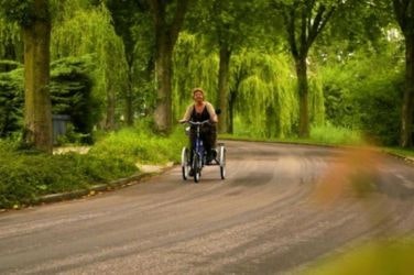Kundenerfahrung Midi Dreirad elektrisch - Marja de Koning