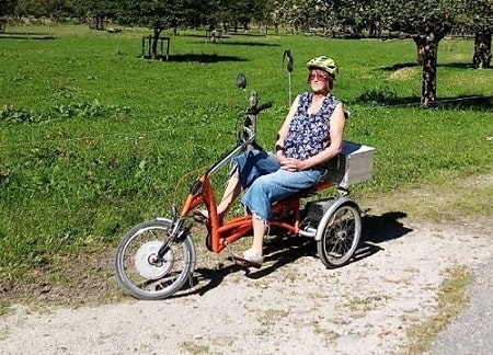 customer experience electric tricycle bike easy rider daisy