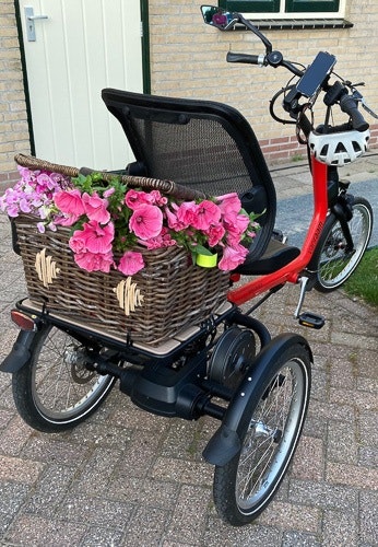 driewielerfiets easy rider van raam mieke rolie