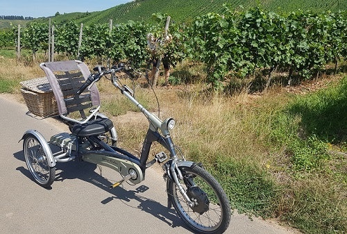 Easy Rider tricycle for adults user experience Anja Schaap Easy Rider tricycle for adults user experience Anja Schaap