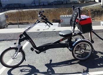 adult tricycle van raam easy rider review aspholm