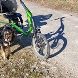 Klantervaring Easy Rider driewieler volwassenen – Gottfried
