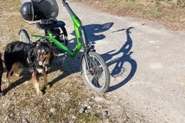Expérience client Easy Rider tricycle pour adultes - Gottfried