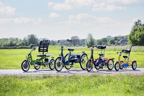 Van Raam une partie de la gamme de tricycles