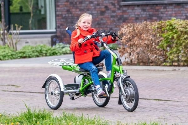 Tricycle pliable de Van Raam Easy Rider Small