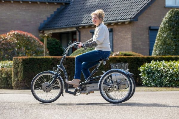 Niedrige Trittmulde Fahrrad Maxi Comfort von Van Raam
