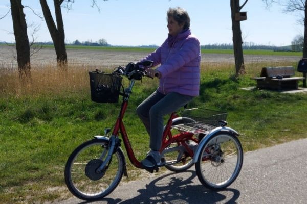 customer experience nannie vd donk suk maxi electric tricycle van raam
