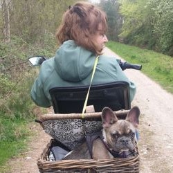 Benutzererfahrung Easy Rider Dreirad - Henriëtte van der Loop