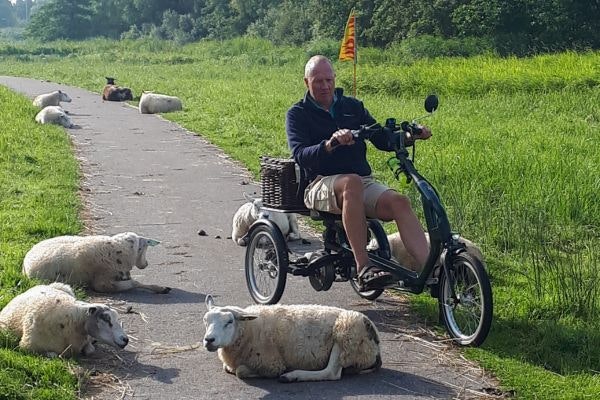 easy rider drie wiel fiets van eijk