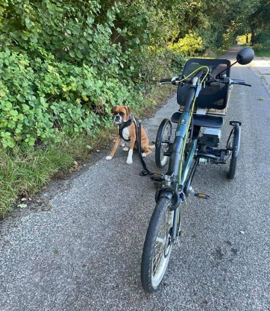 Van Raam Easy Rider fiets driewieler volwassenen Linda Nanning