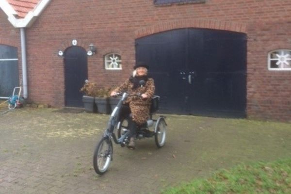 Easy Rider erwachsenen Dreirad Van Raam Kundenerfahrung Ans
