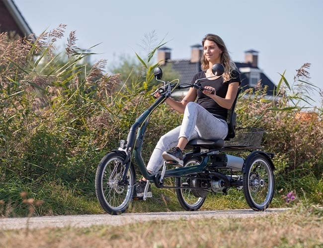 Easy Rider Van Raam tricycle for adults