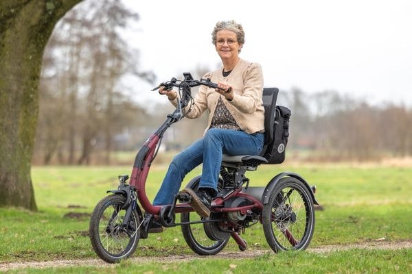 Unieke rij-eigenschappen van de van raam Easy Rider Compact zitdriewielfiets