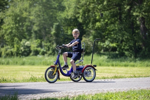 Electric tricycle for kids Mini Van Raam