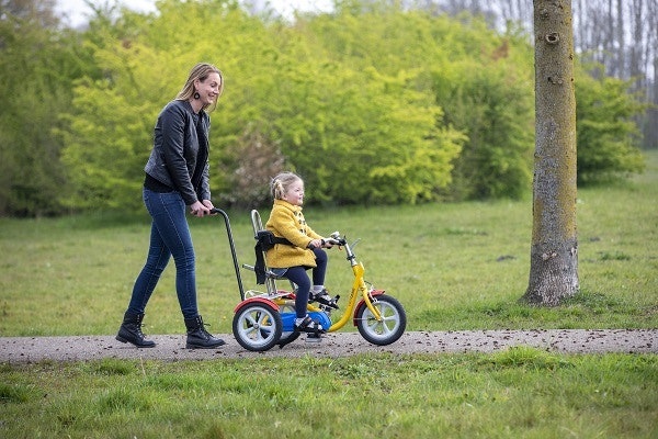 Driewieler voor kind Husky Van Raam