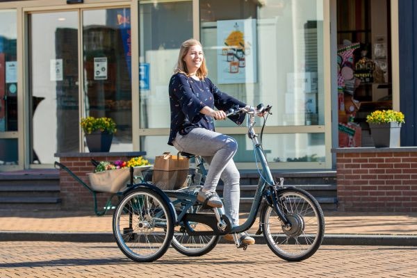 Maxi traditional tricycle Van Raam Maxi traditional tricycle Van Raam