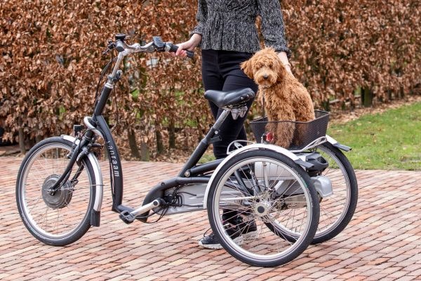 Kann ein Haustier auf dem Gepacktrager des Maxi Comfort Dreirad transportier werden