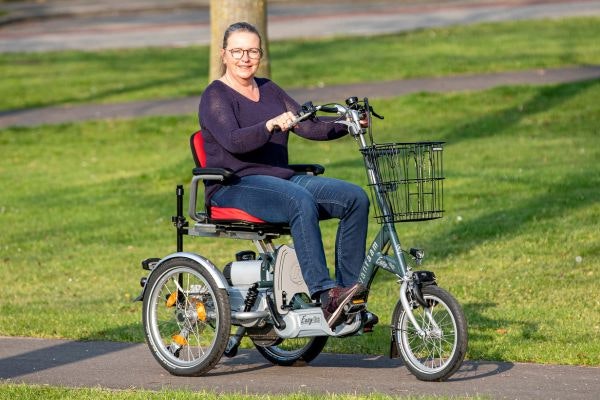 Elektrisches Sitzfahrrad Easy Go Van Raam