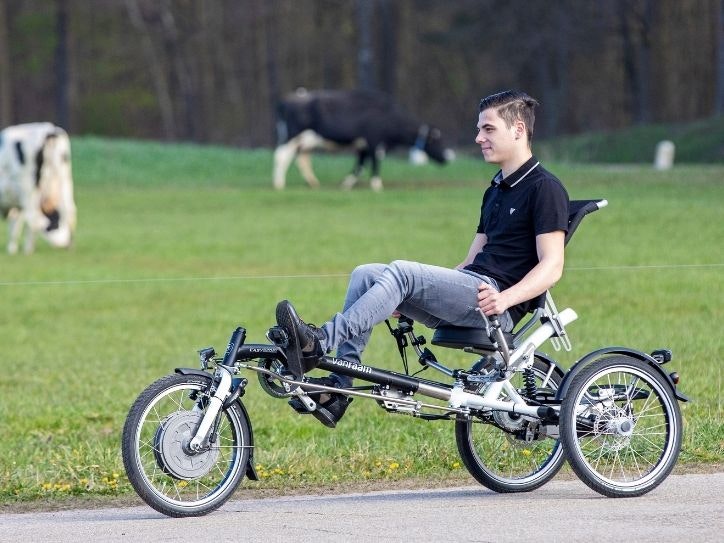 Large tricycle for adults Van Raam Easy Sport