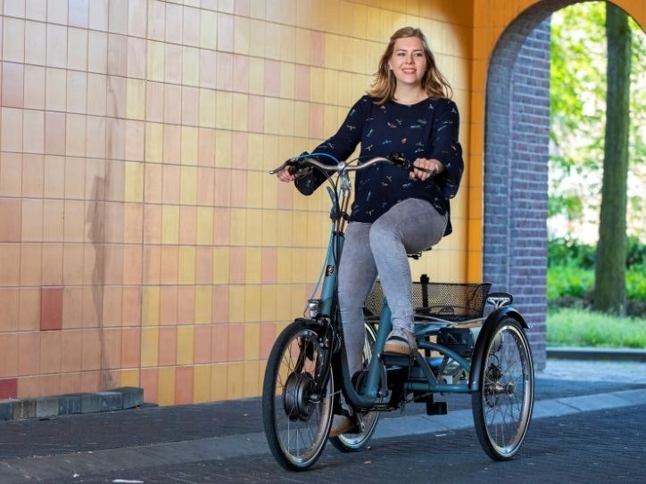 Grote driewielfiets voor volwassenen Van Raam Maxi