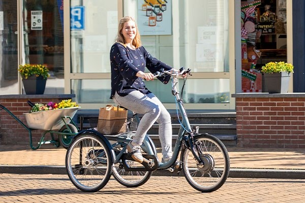 Van Raam Maxi tricycle traditionnel vélo avec 3 roues pour adulte