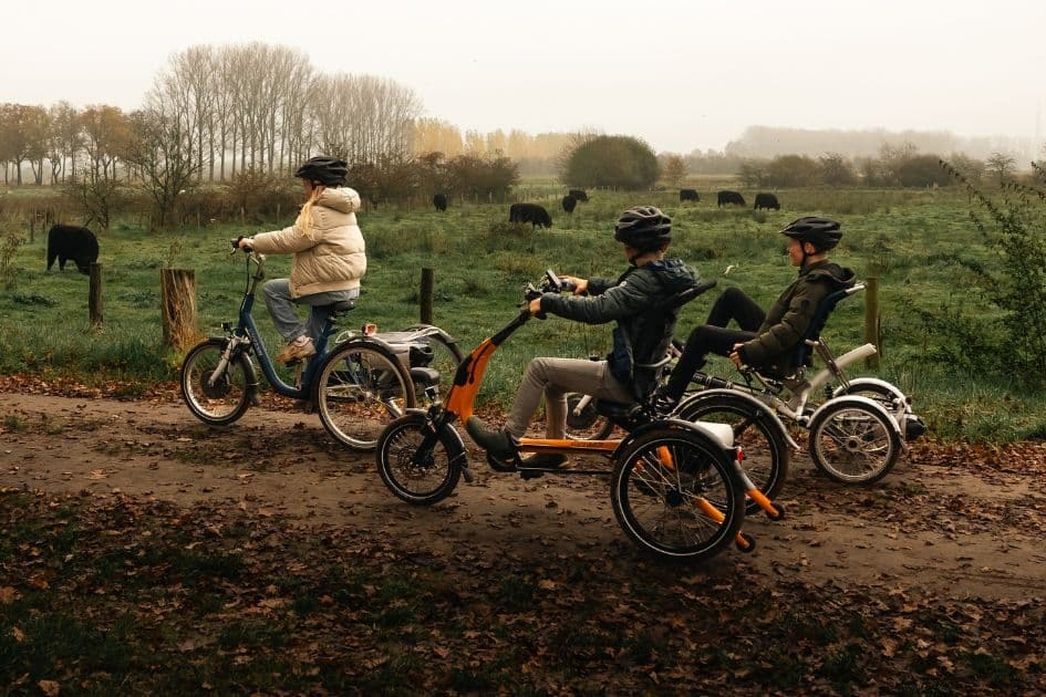 Van Raam children tricycles