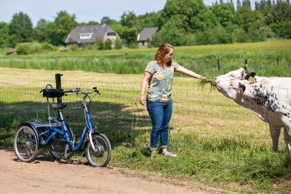 Traditional tricycle Midi for adolescents Van Raam