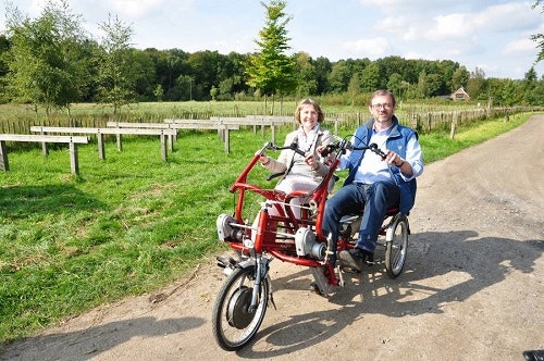 munsterlander natur und parklandschaft dreirad tandem